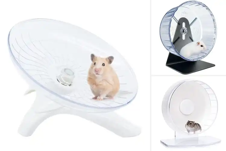 Detailed view of Best Quiet Exercise Wheel For Night Use
