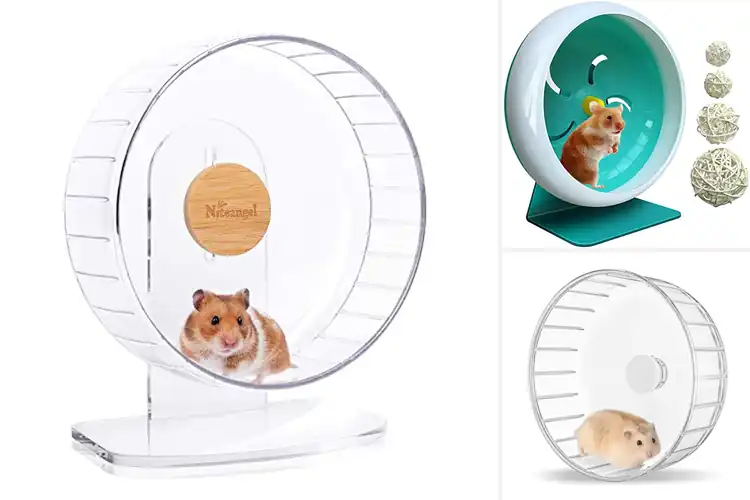 Detailed view of Best Quiet Hamster Wheels: Top 10 Picks for Peaceful Nights