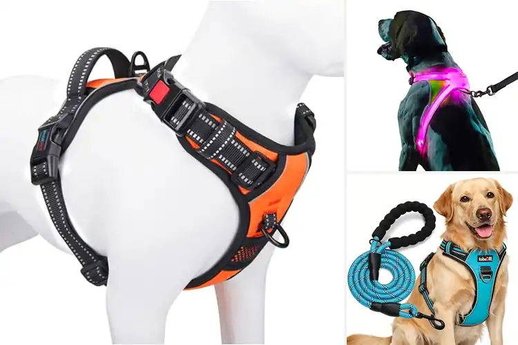 Detailed view of Best Reflective Dog Harnesses