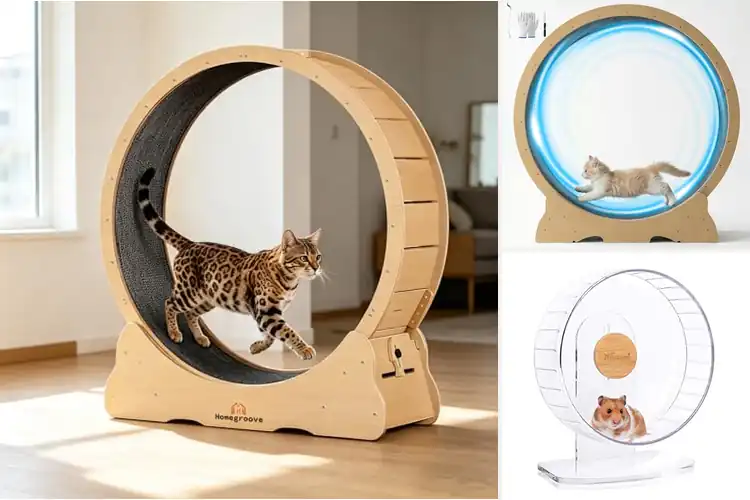 Detailed view of Best Running Wheels: Top 10 Picks for Active, Healthy Pets