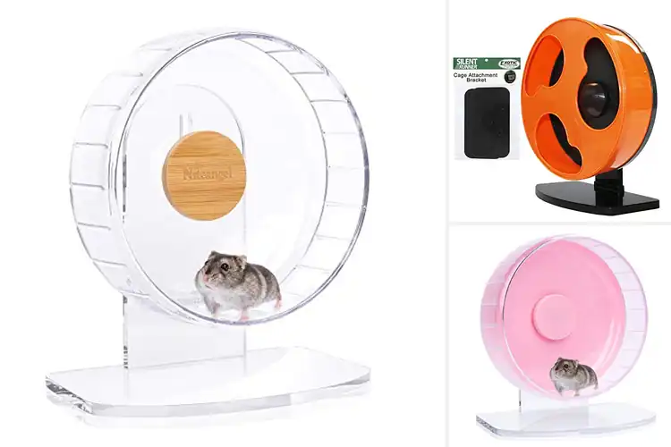 Detailed view of Best Safe And Sturdy Hamster Wheel