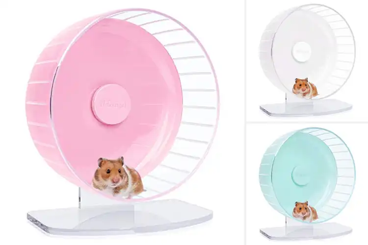 Detailed view of Best Safe Durable Hamster Wheel Base