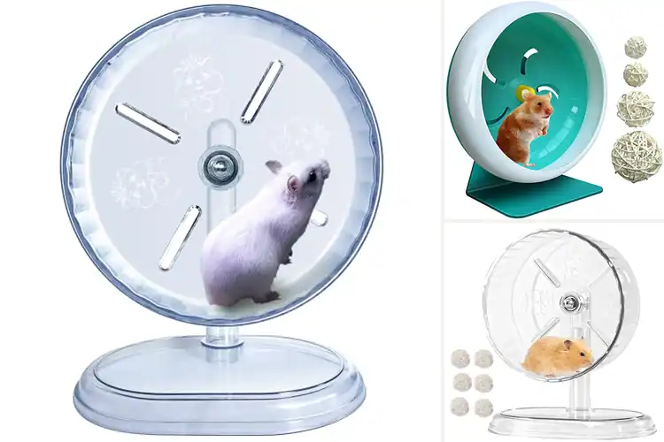 Detailed view of Best Safe Durable Hamster Wheel