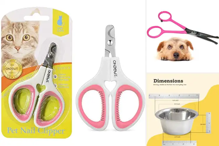 Detailed view of Best Safe For Tiny Pets