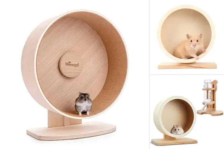 Detailed view of Best Safe Wooden Hamster Wheel For Small Pets
