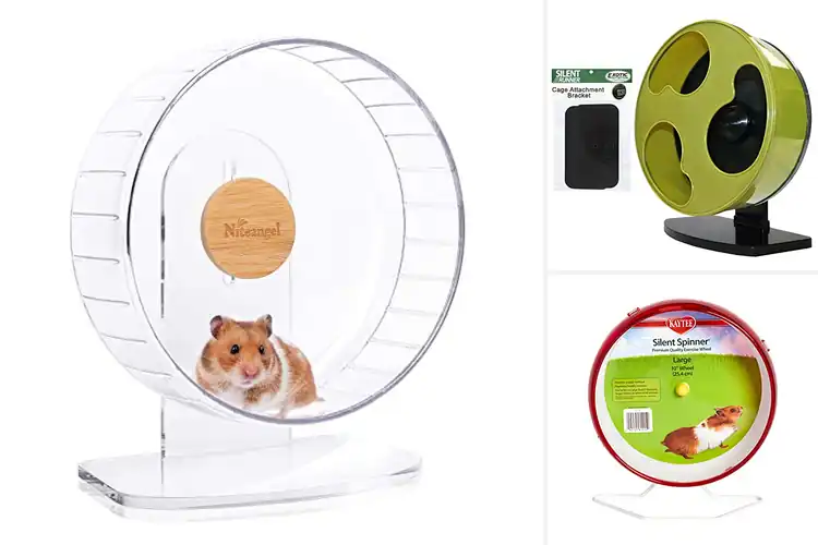 Detailed view of Best Silent Pet Wheels