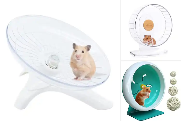 Detailed view of Best Silent Running Hamster Wheel: Quiet Fun