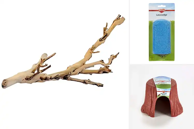 Detailed view of Best Small Animal Habitat Accessories
