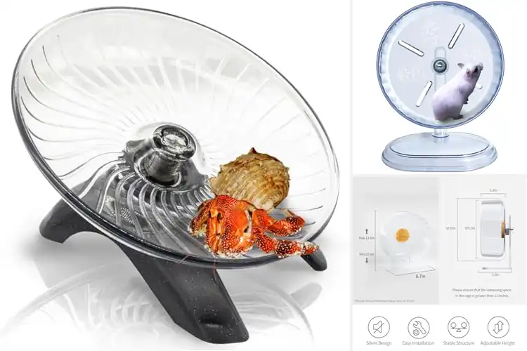 Detailed view of Best Small Animal Running Wheels: Happy Pet Fun