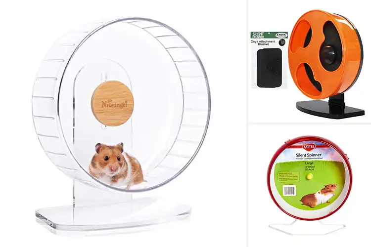 Detailed view of Best Small Animal Wheels