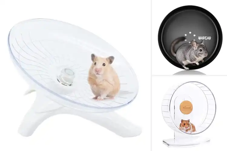 Detailed view of Best Small Rodent Exercise Wheels: Top 10 Quiet & Safe Picks