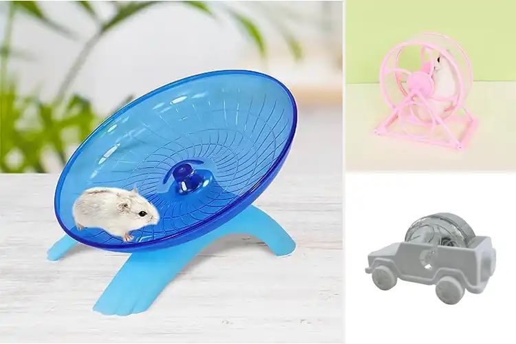 Detailed view of Best Small Rodent Wheels: Top Quiet & Safe Picks for Pets
