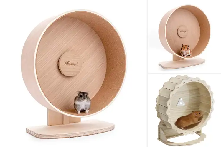 Detailed view of Best Solid Wood Hamster Wheel: Top 10 Quiet & Safe Picks