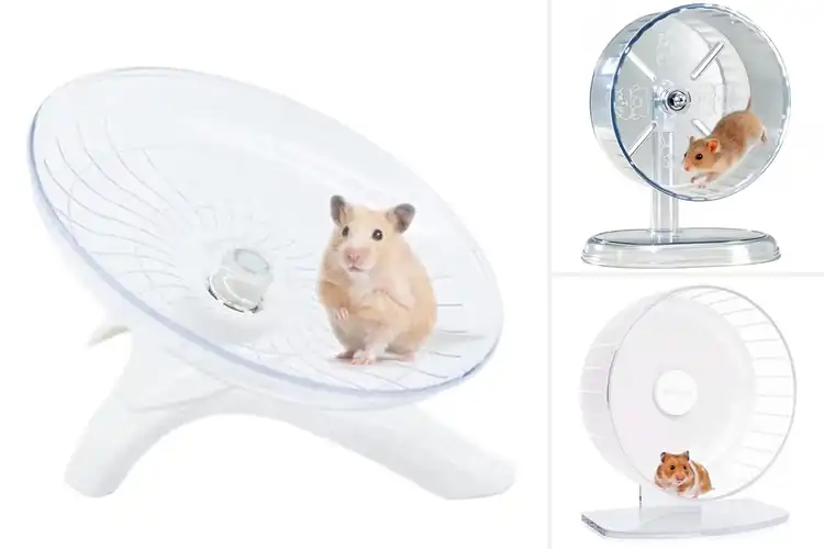 Detailed view of Best Spine-Friendly Hamster Wheel Design