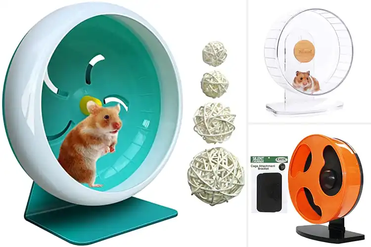 Detailed view of Best Spine Friendly Hamster Wheel