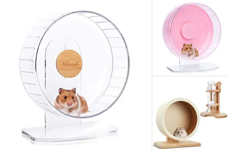 Detailed view of Best Stable Base Hamster Wheel With Wide Support