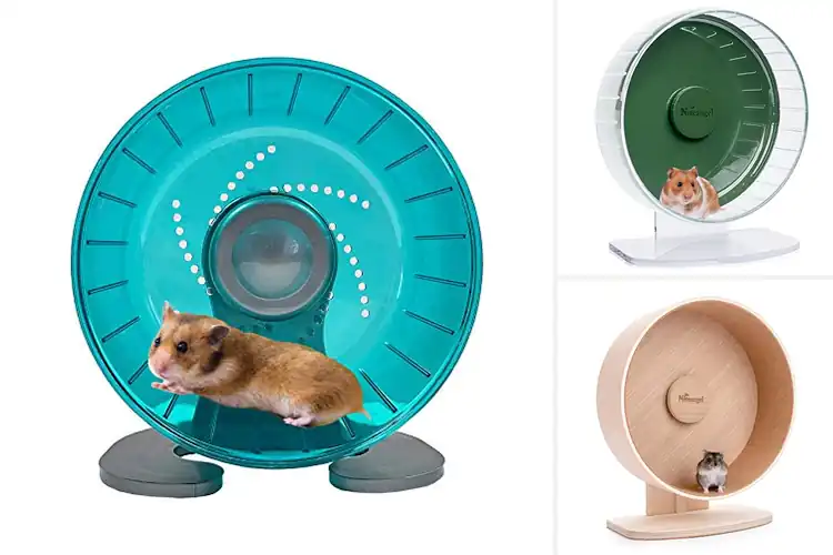 Detailed view of Best Sturdy Hamster Wheels