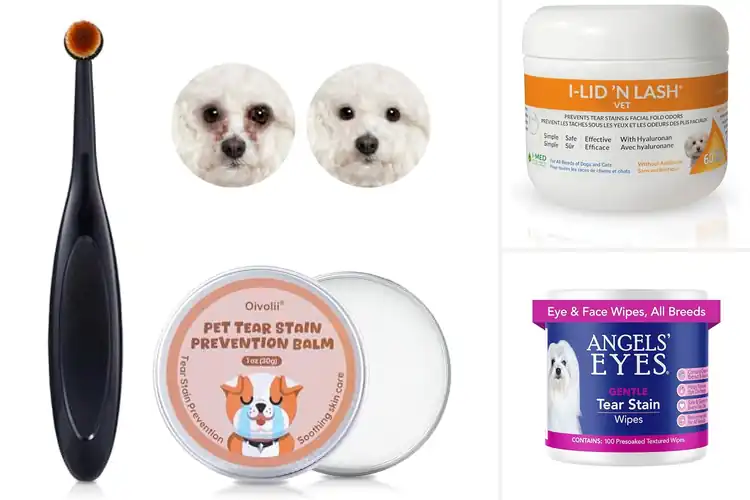 Detailed view of Best Tear Stain Preventers For Dogs
