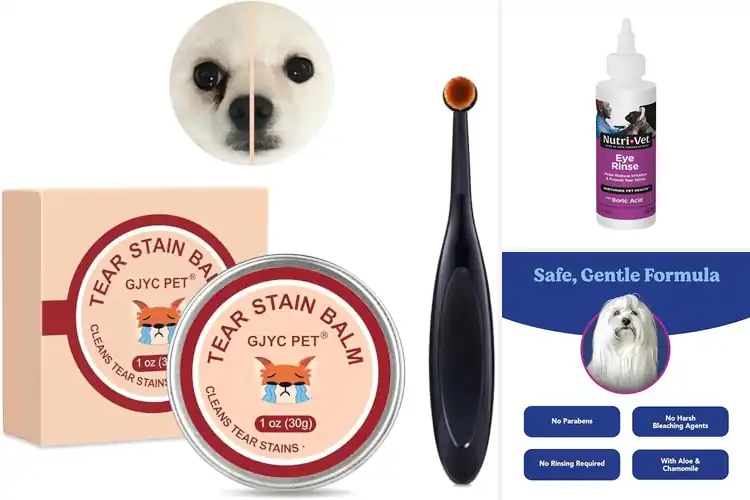 Detailed view of Best Tear Stain Prevention Solutions