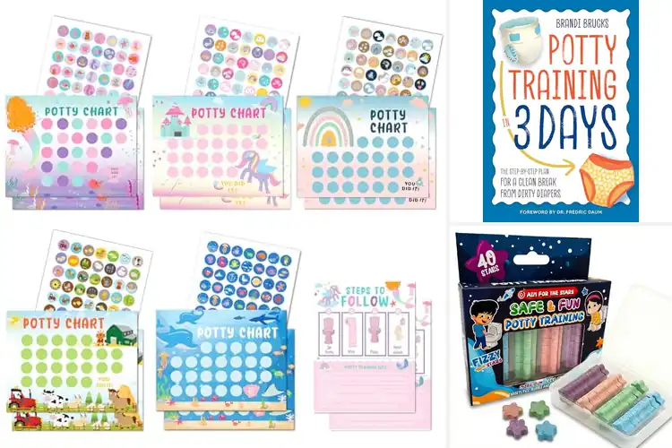 Detailed view of Best Toilet Training Tools