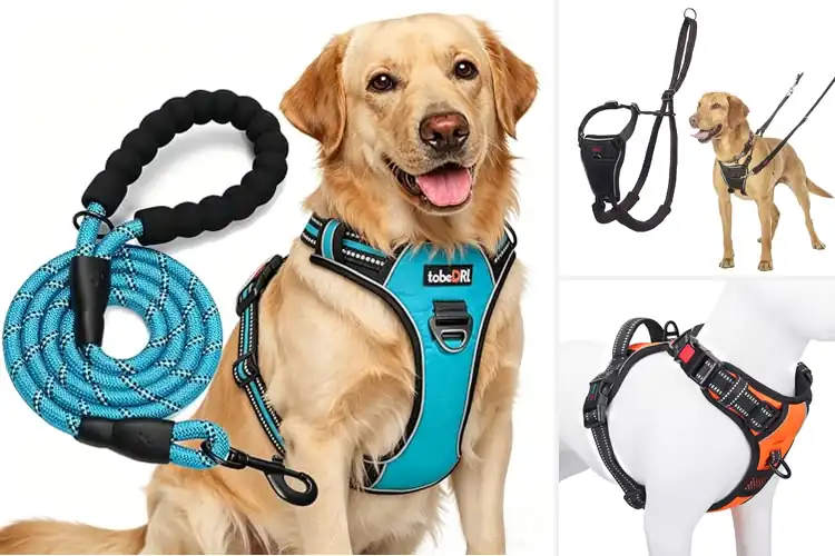 Detailed view of Best Training Harnesses For Dogs