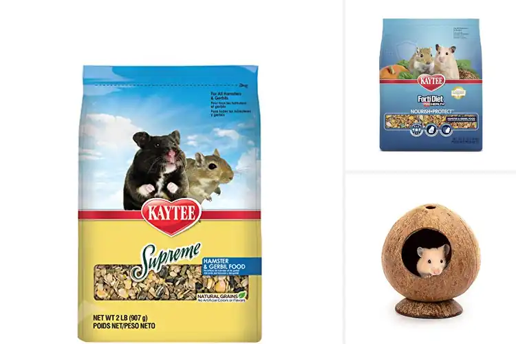 Detailed view of Best Use For Hamsters And Gerbils