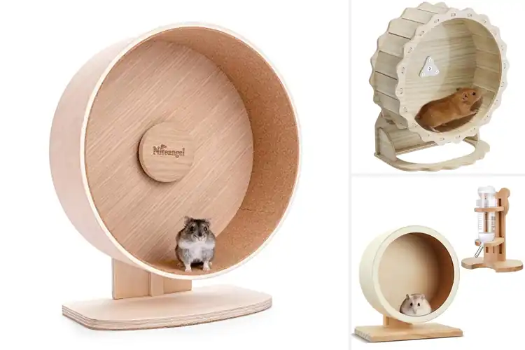 Detailed view of Best Wooden Hamster Wheel: Top Picks for Happy, Healthy Pets