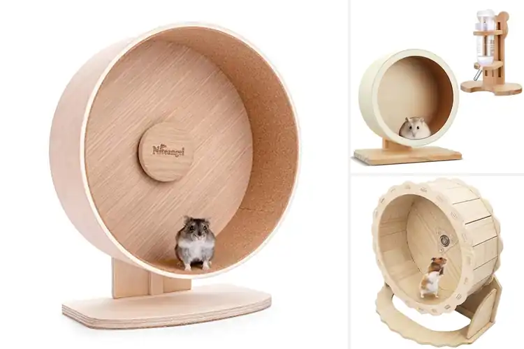 Detailed view of Best Wooden Hamster Wheels