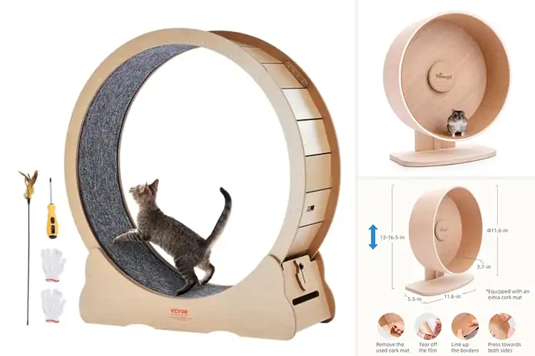 Detailed view of Best Wooden Running Wheels